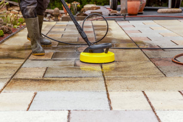 Animal Enclosure Cleaning in Camden, TN